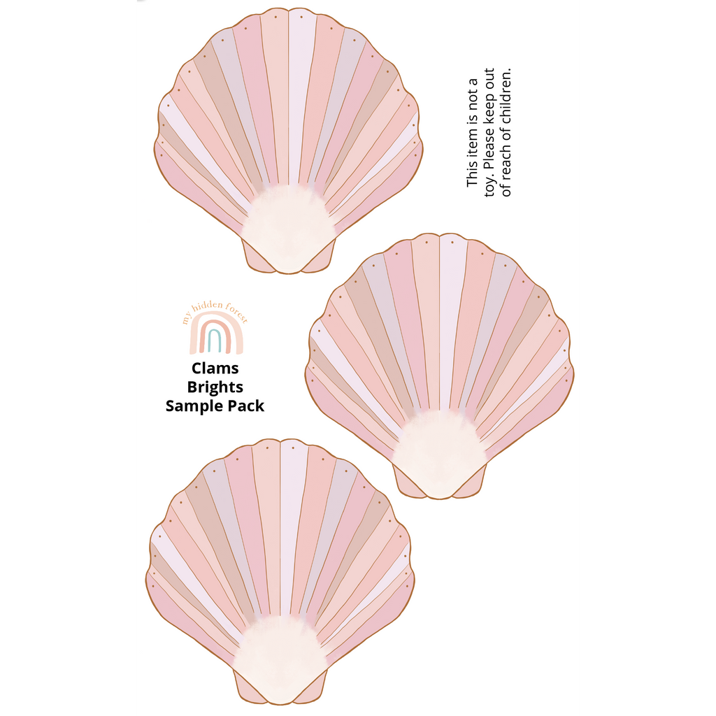 Clam Shell Sticker Shell Wall Decals - soft and pretty – My Hidden Forest